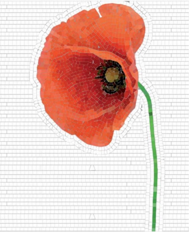 One Poppy by STON